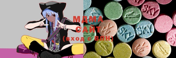 ГАЛЛЮЦИНОГЕННЫЕ ГРИБЫ Инсар