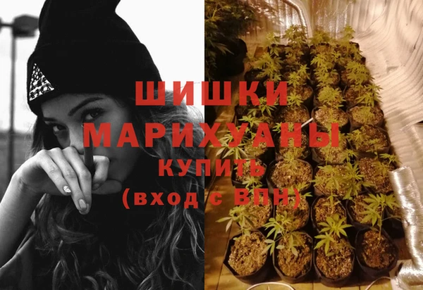 прущая мука Иннополис