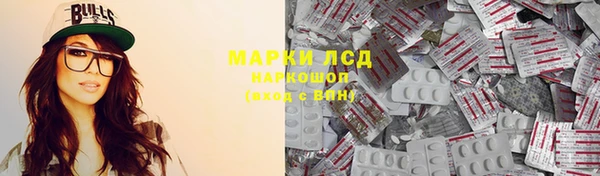 ГАЛЛЮЦИНОГЕННЫЕ ГРИБЫ Инсар