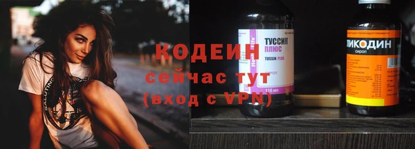 сатива Инта