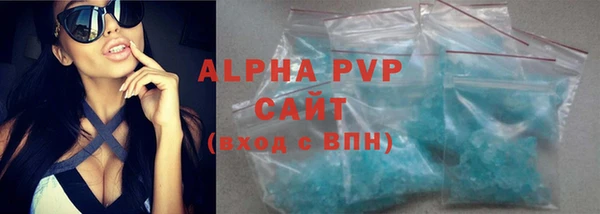 сатива Инта