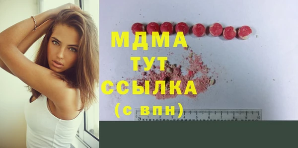 сатива Инта