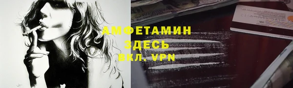 сатива Инта