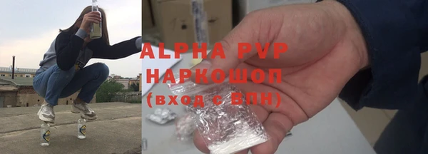 ГАЛЛЮЦИНОГЕННЫЕ ГРИБЫ Инсар