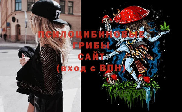 ГАЛЛЮЦИНОГЕННЫЕ ГРИБЫ Инсар
