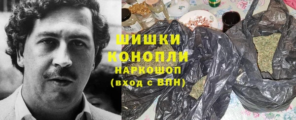 сатива Инта