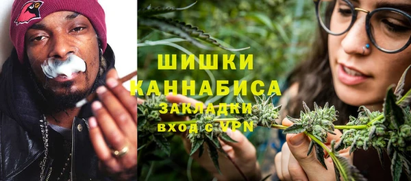 ГАЛЛЮЦИНОГЕННЫЕ ГРИБЫ Инсар