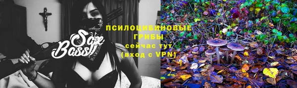 сатива Инта