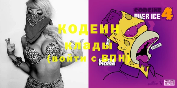 сатива Инта