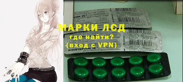 сатива Инта